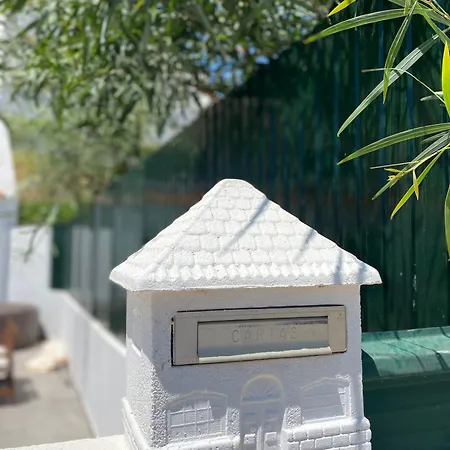Nyoppusset Hus Med Stor Uteplass I Nydelige Σπίτι διακοπών *